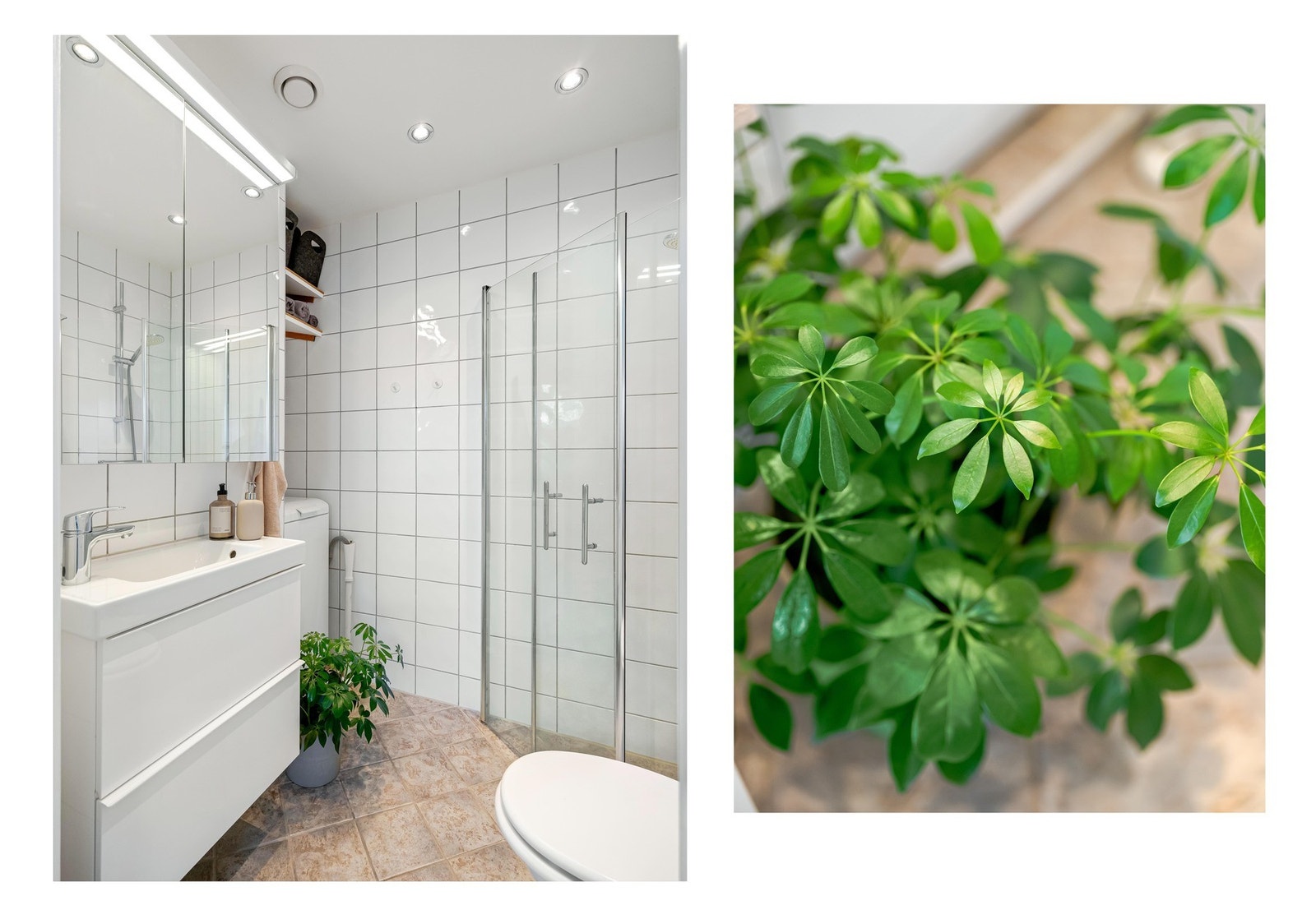 Det er plass og opplegg for vaskemaskin og trommel. Det er også plass og opplegg for en grønn plante. Galleribilde