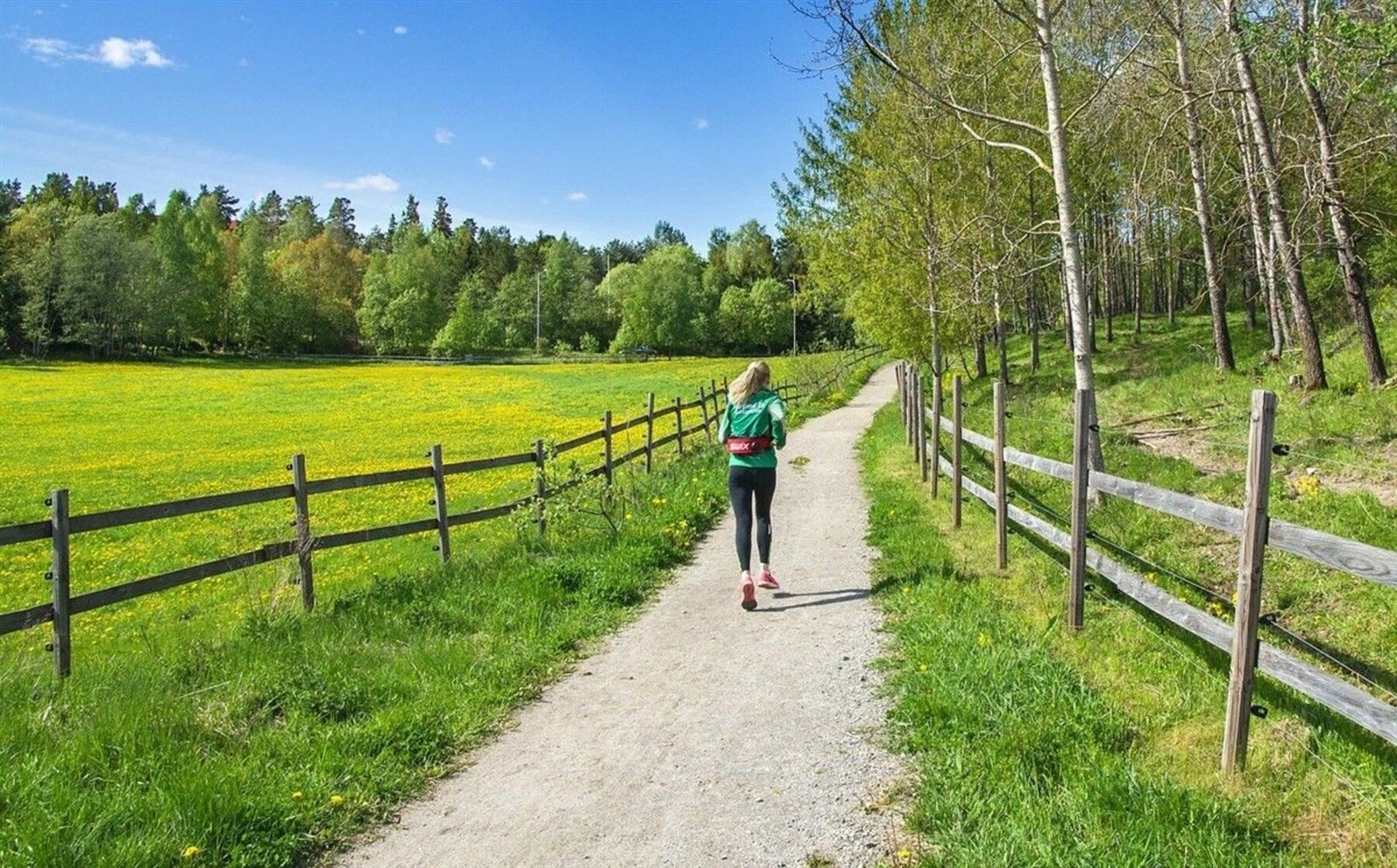 Få minutters gange til Søndre Aas gård med turmuligheter, dyr, hester og rideskole - en idyllisk besøksgård, omkranset av flotte rekreasjonsmuligheter. Galleribilde