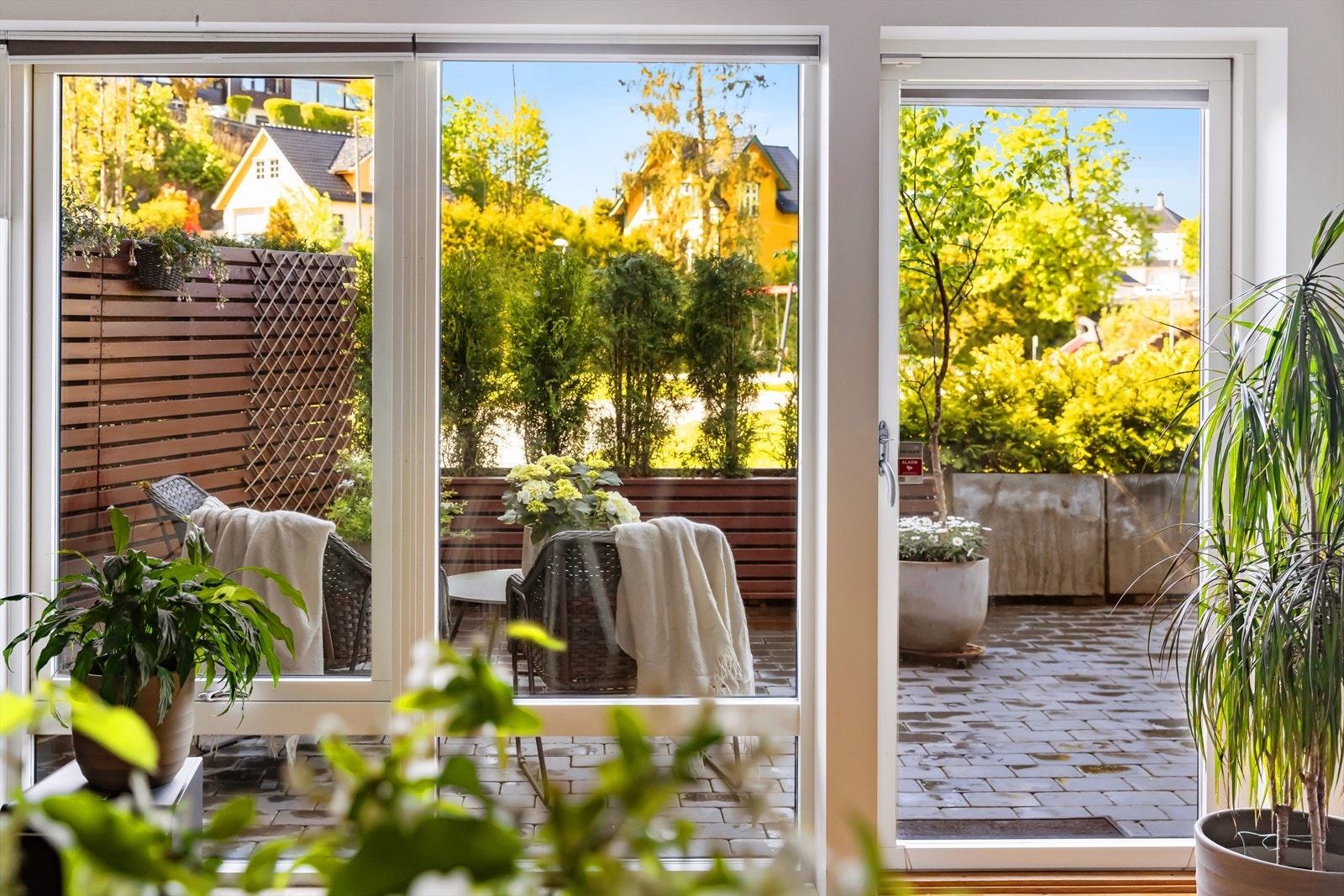 Terrasse Galleribilde