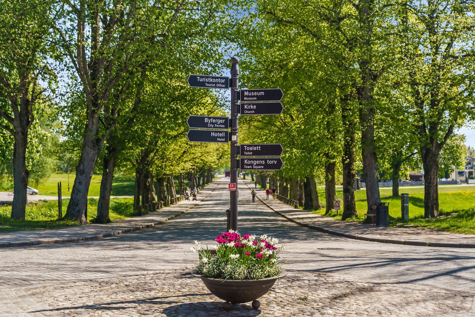 Gamlebyen byr på en rekke kulturelle og historiske attraksjoner, inkludert Fredrikstad Museum, Gamlebyen Modelljernbanesenter og Østfold Kunstnersenter Galleribilde