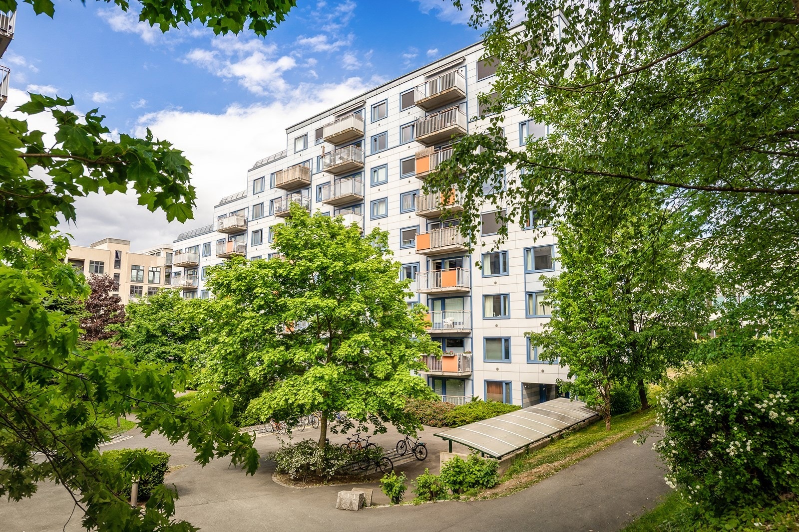 Velkommen til visning! Galleribilde