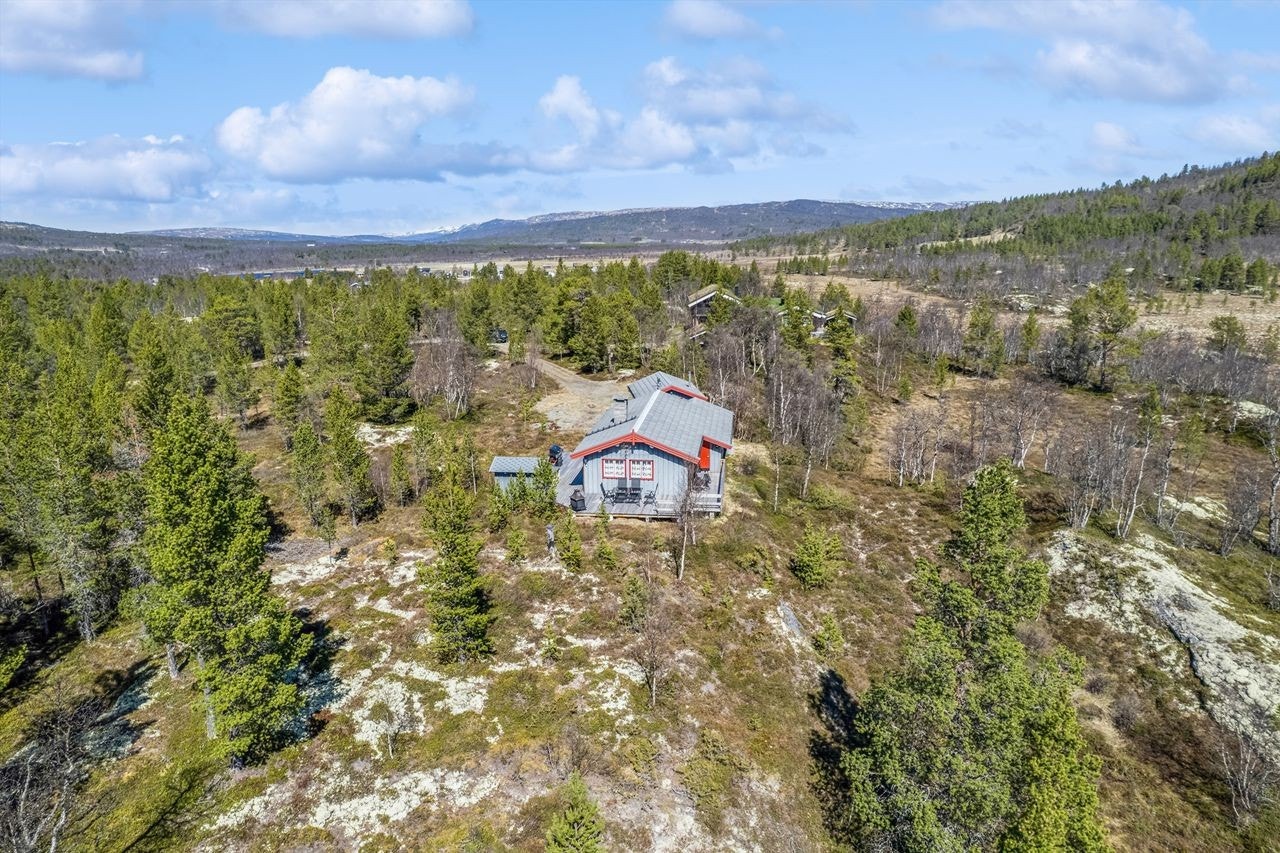 Velkommen til en hyggelig visning! Galleribilde