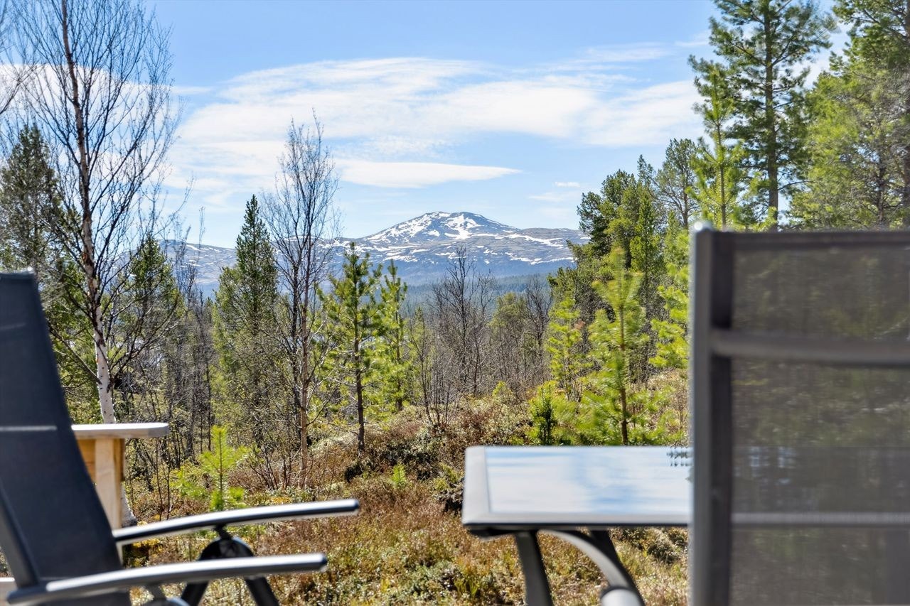 Nydelig utsikt fra terrassen. Galleribilde