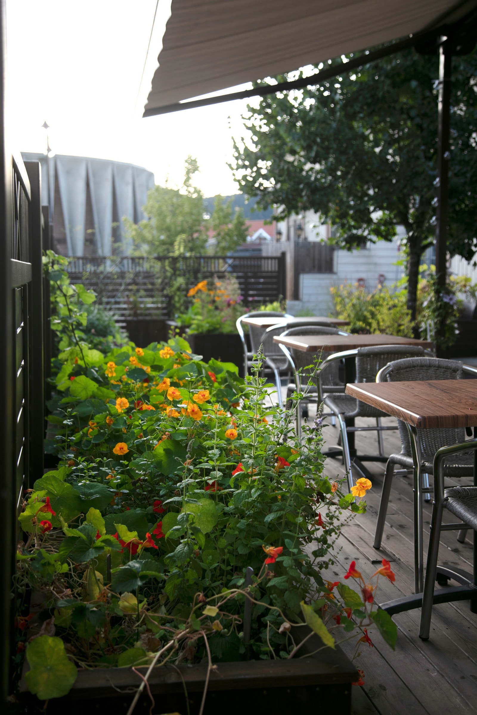 Stemning Galleribilde