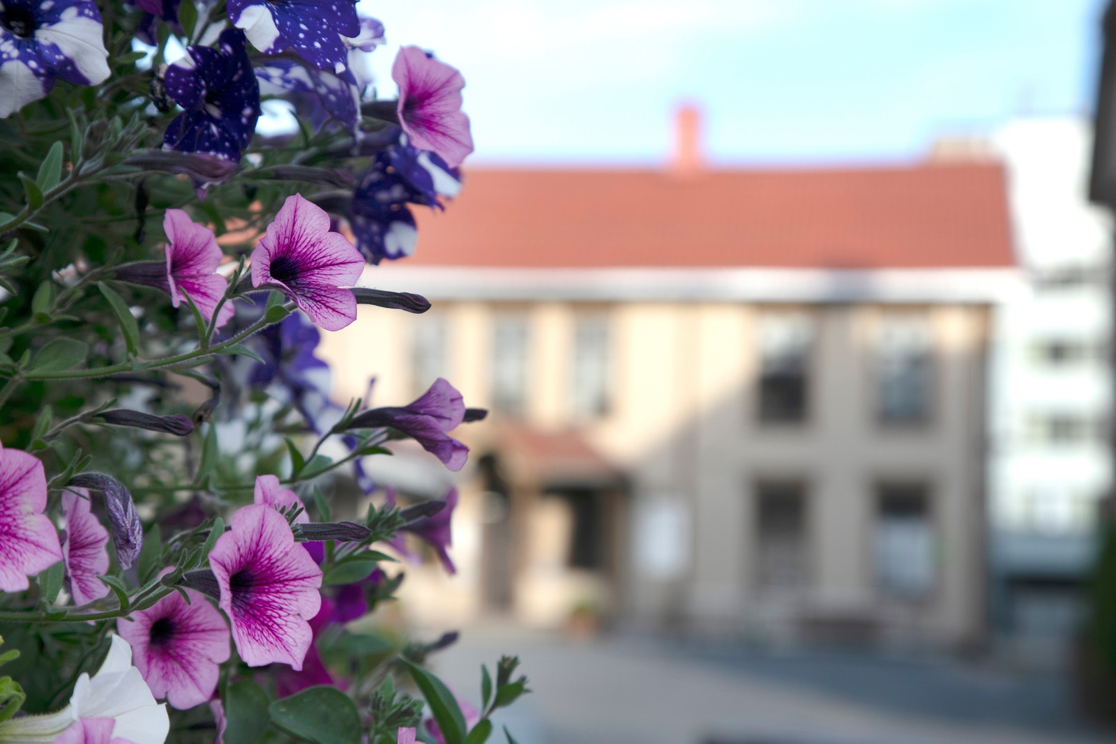 Stemning Galleribilde