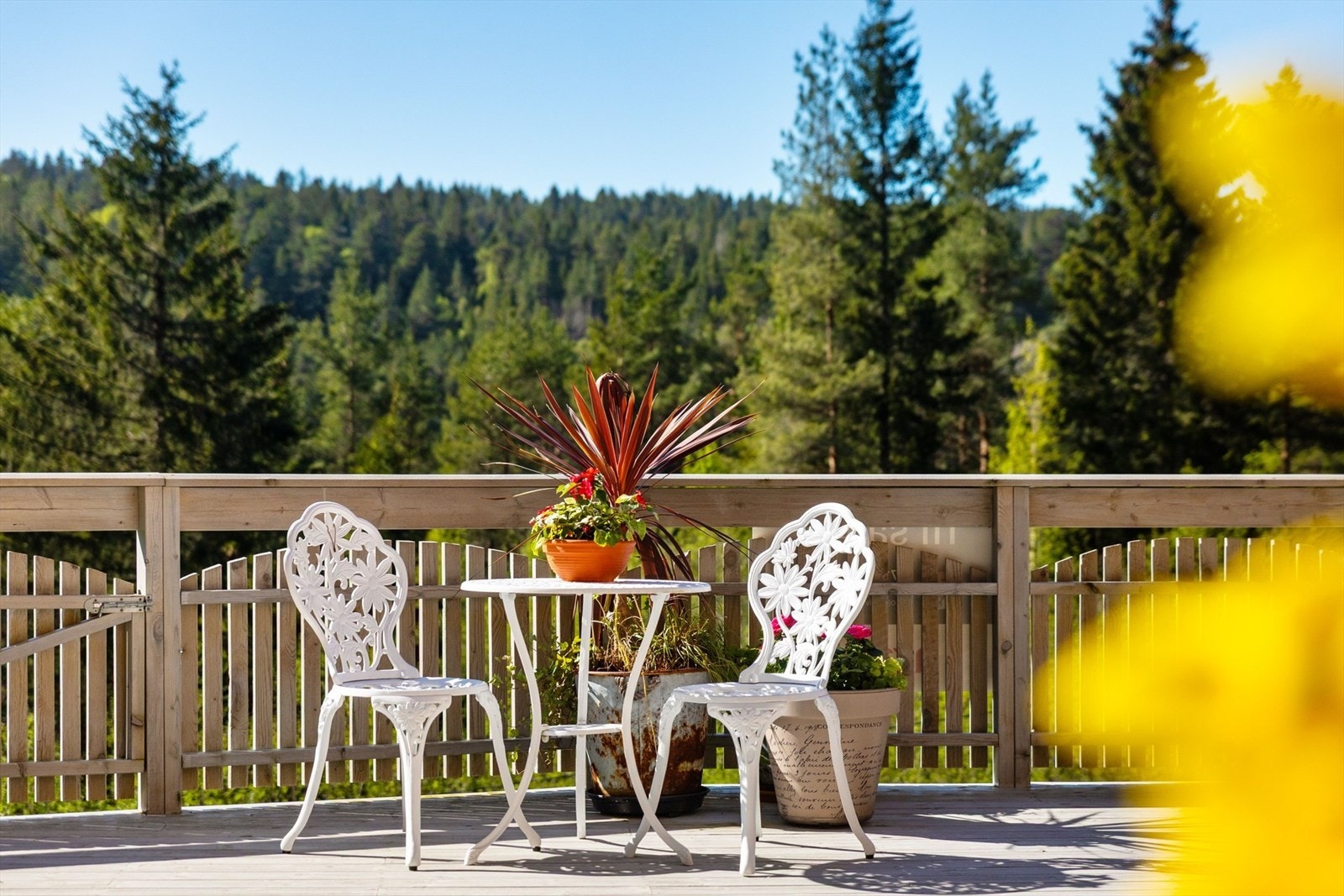 Beliggenheten legger til rette for en harmonisk familiehverdag med idylliske turområder i nærmiljøet. Galleribilde