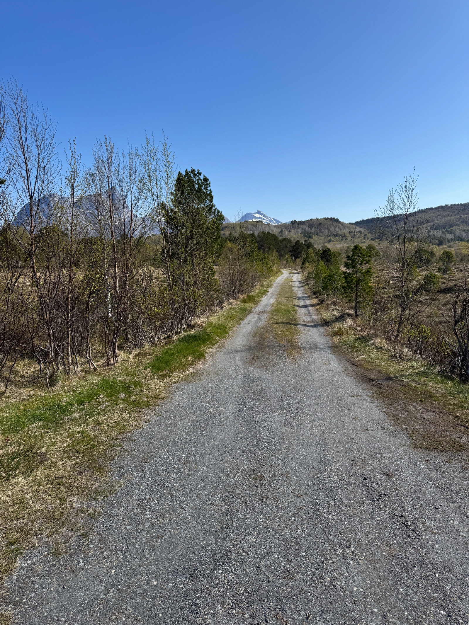 Felles vei fra hovedvei Galleribilde