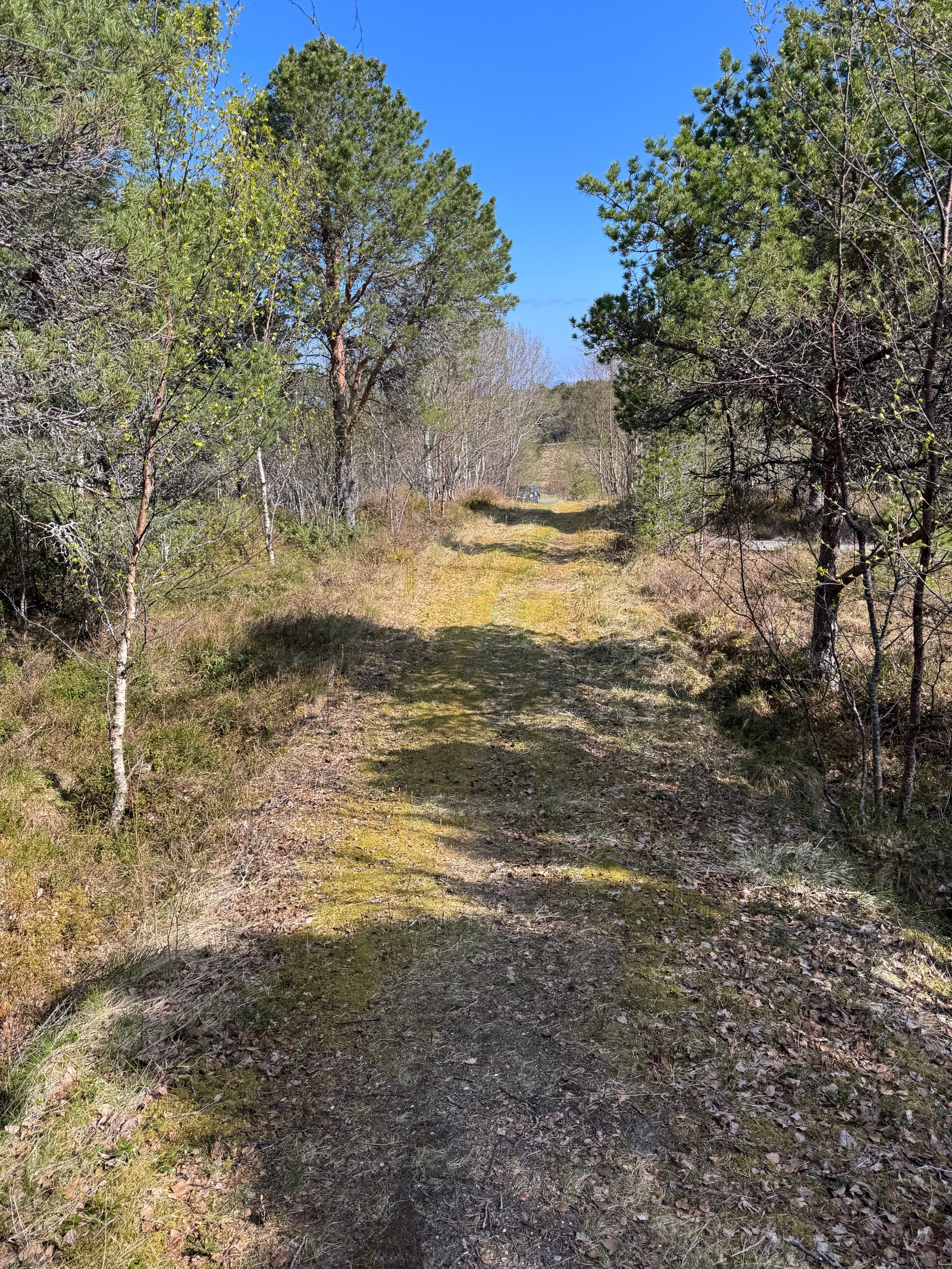 Sti inn til tomtene Galleribilde
