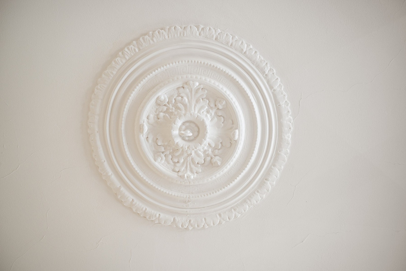 Vakker rosett i himling. Galleribilde