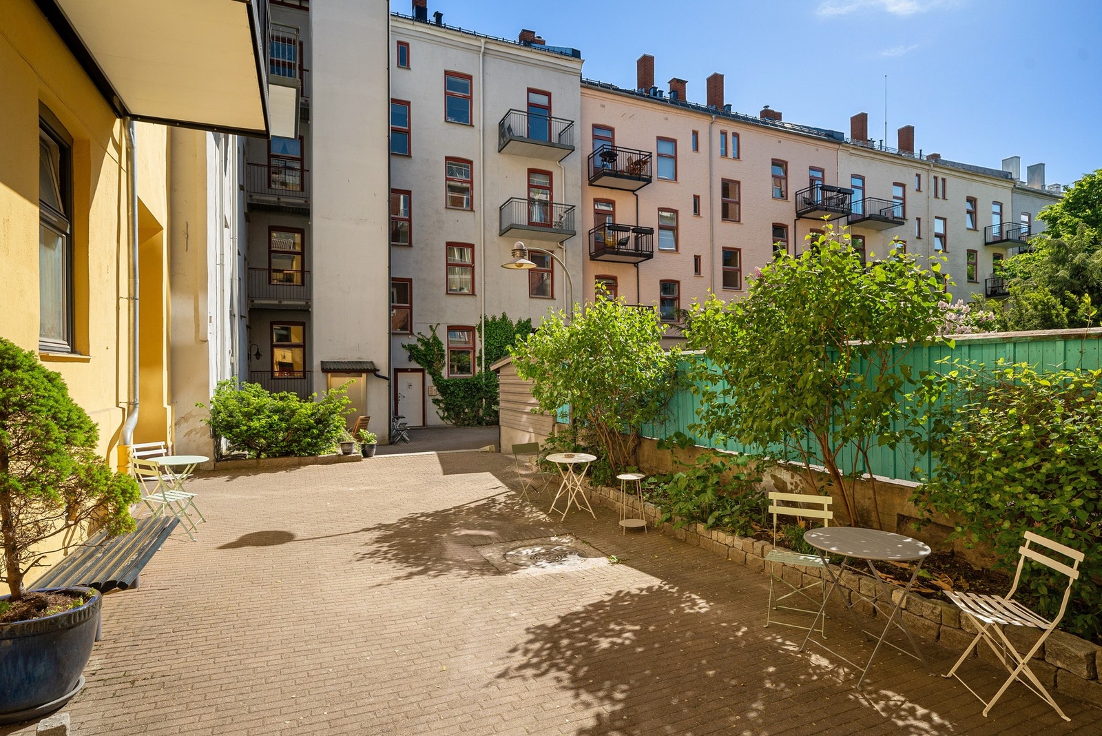 Pent opparbeidet fellesarealer med asfalterte adkomstveien og diverse beplantning. Galleribilde