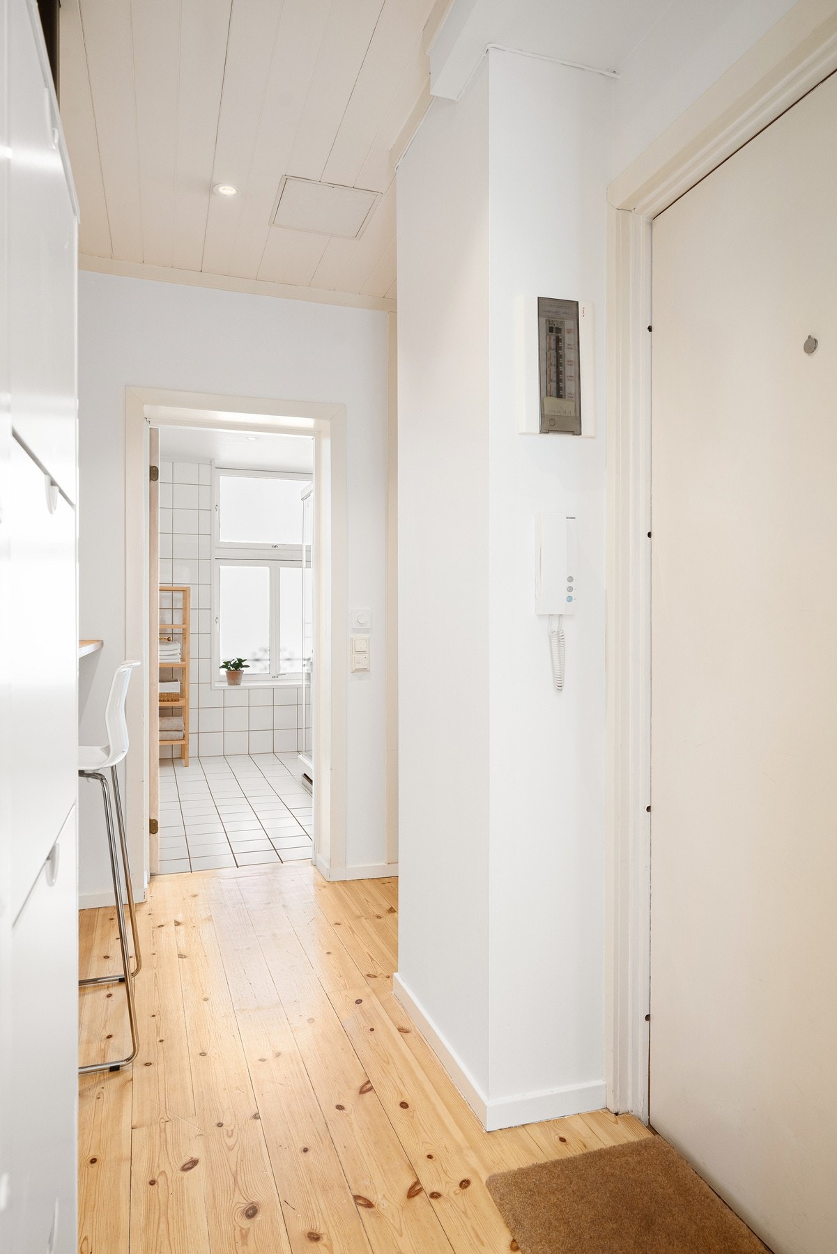 Brann- og lydklassisfisert entrédør. Galleribilde