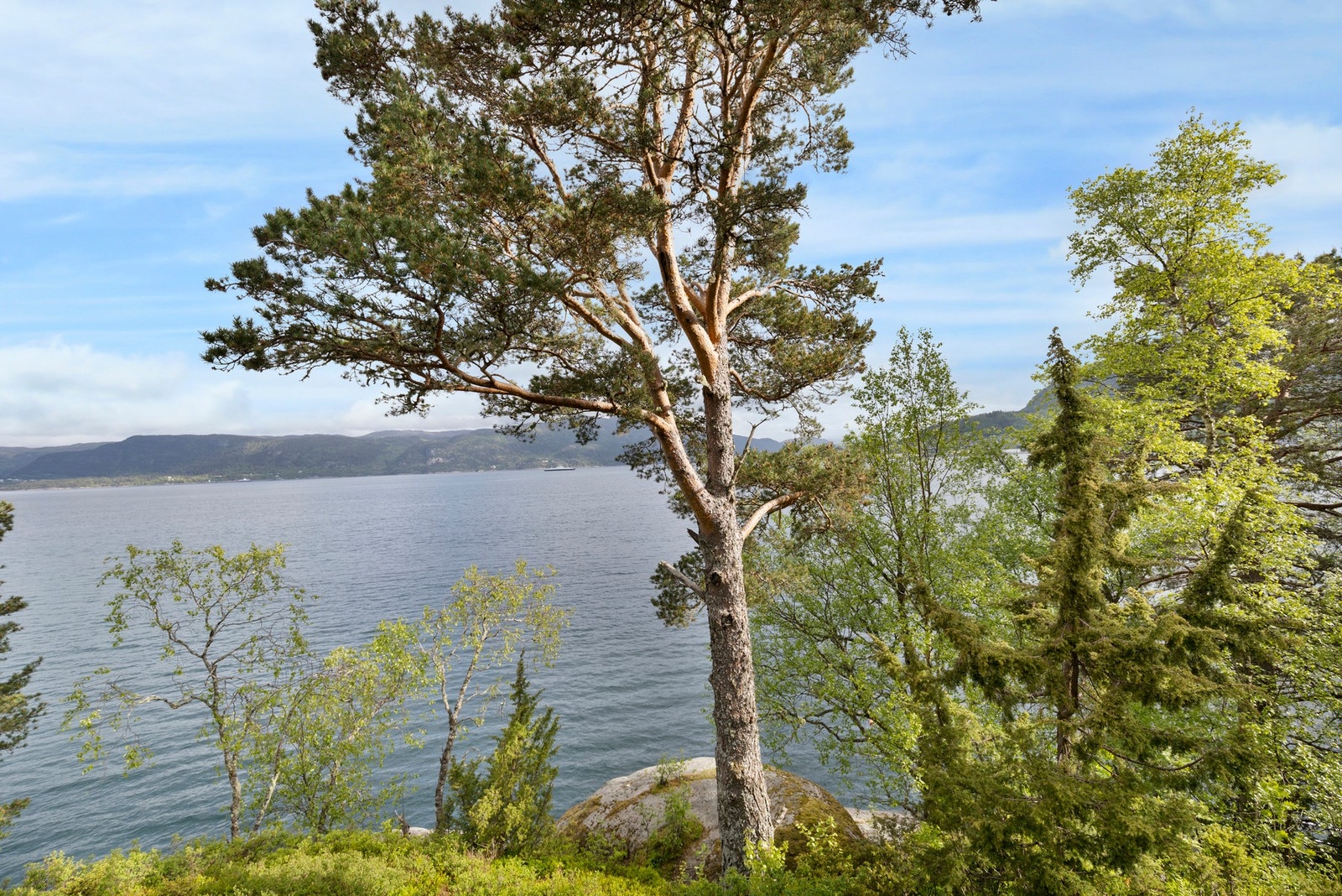 Utsiktsbilde Galleribilde