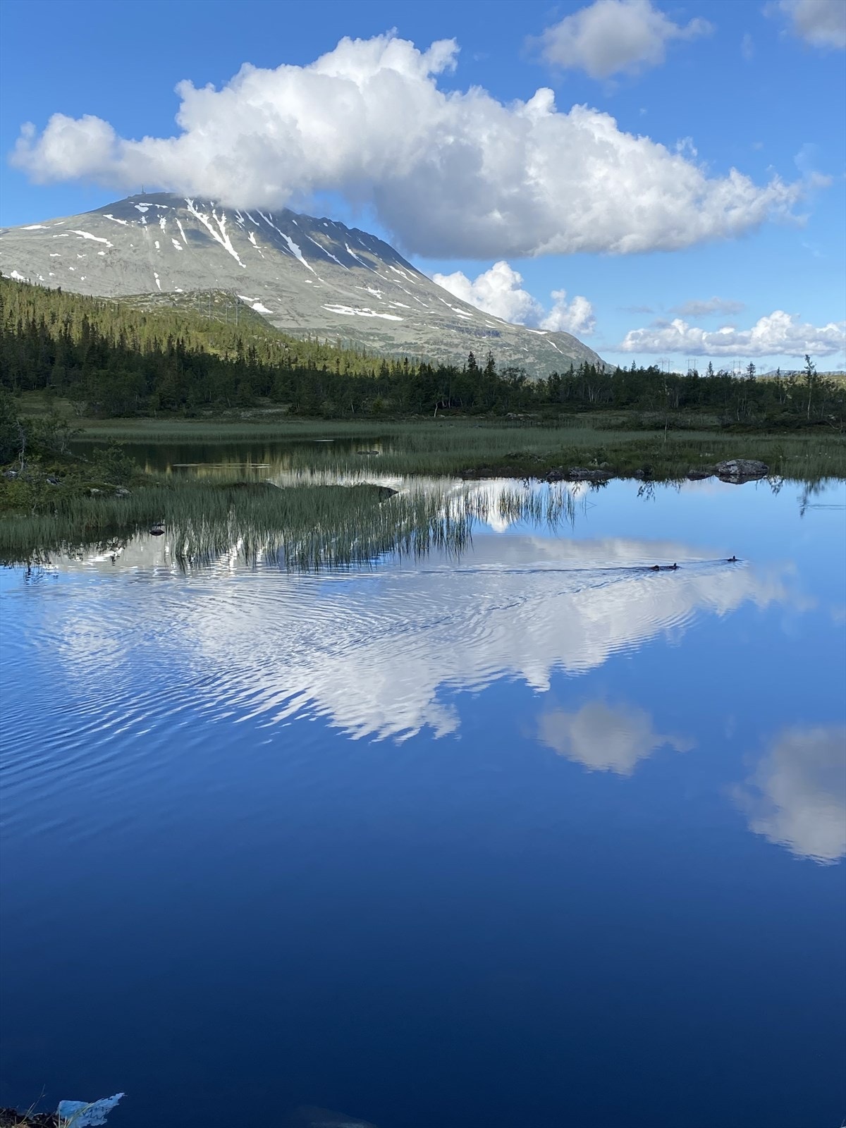I umiddelbar nærhet ruver majestetiske Gaustatoppen. Galleribilde