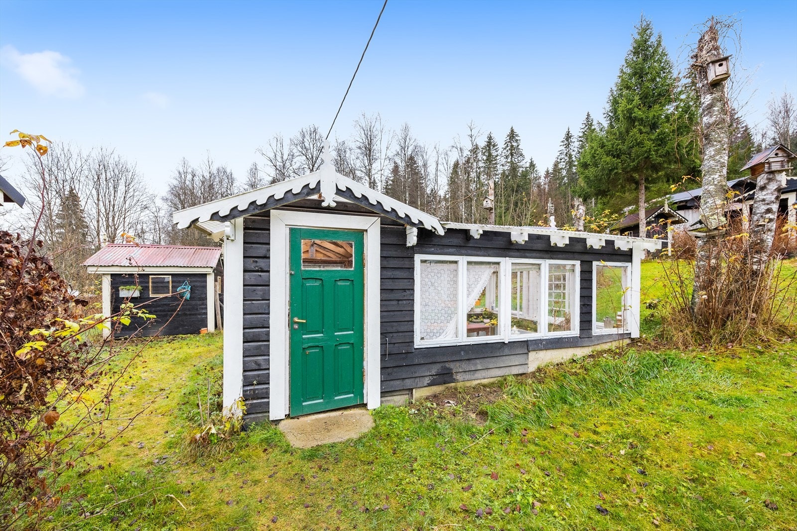 Drivhus. Galleribilde