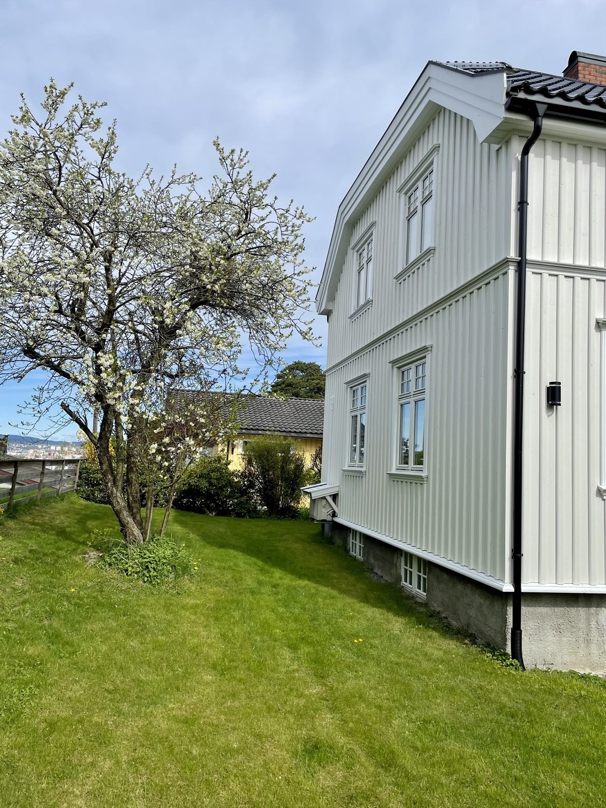 Selgers egne sommerbilder Galleribilde