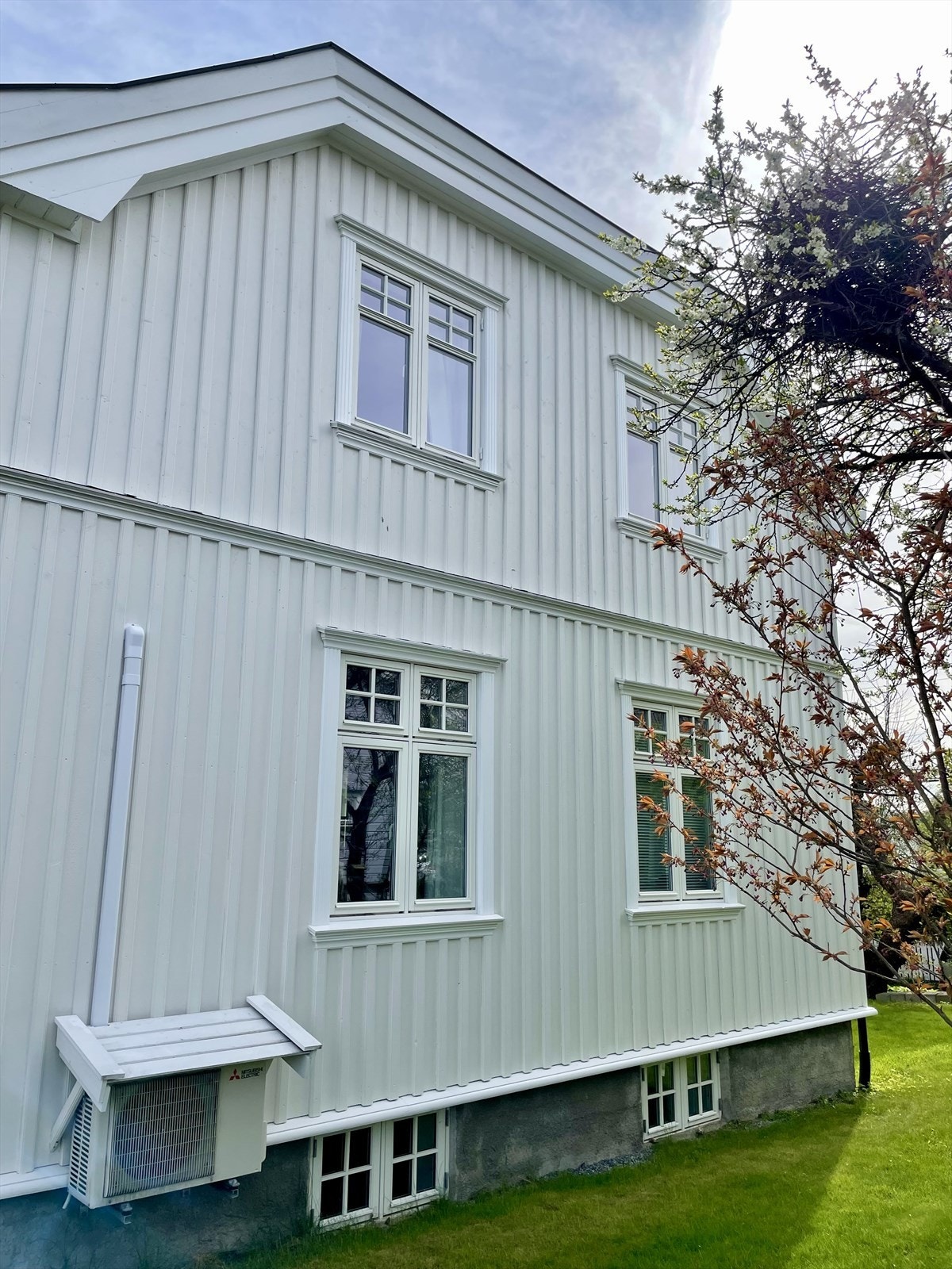 Selgers egne sommerbilder Galleribilde