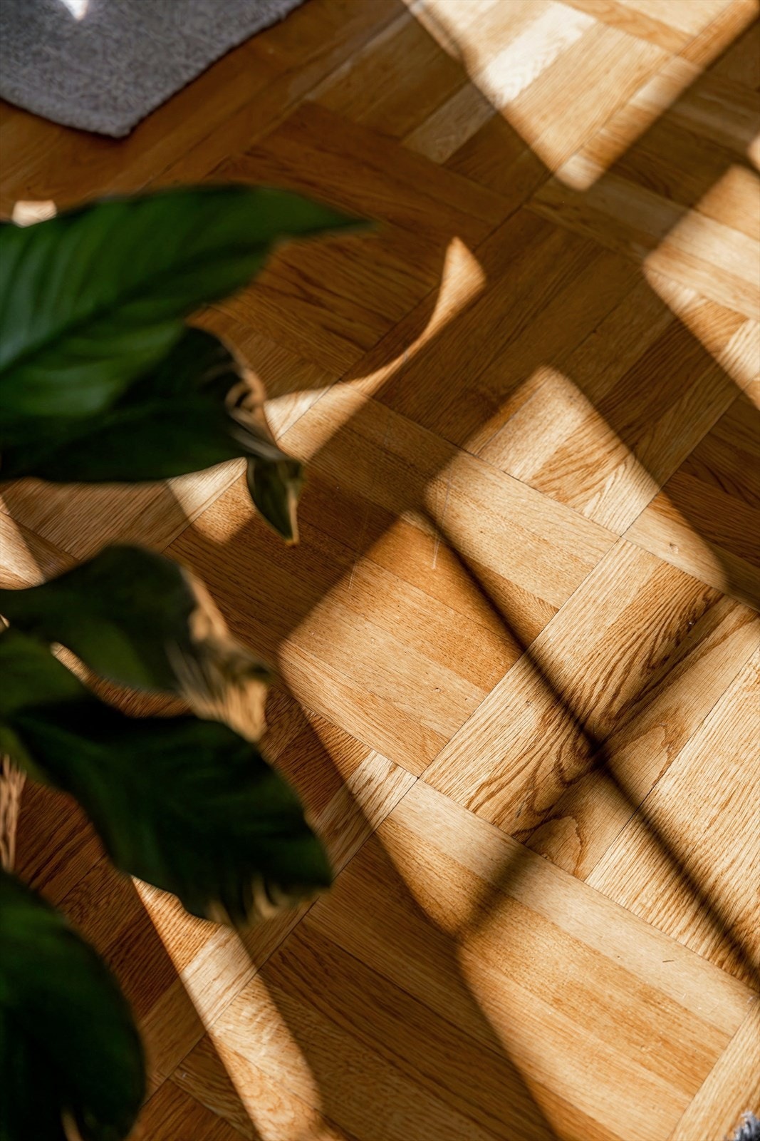 Flott parkett i hovedetasjen Galleribilde