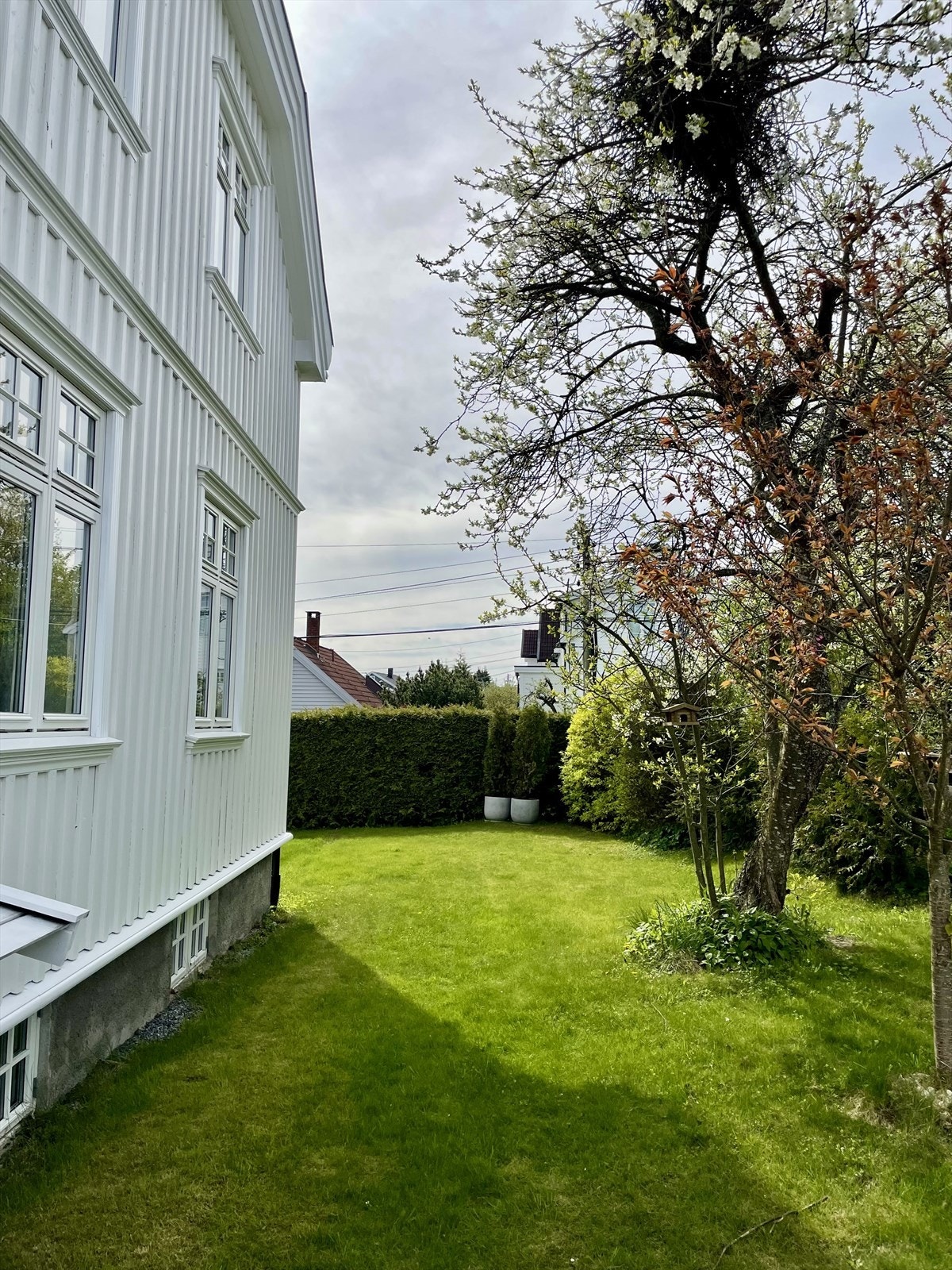 Selgers egne sommerbilder Galleribilde