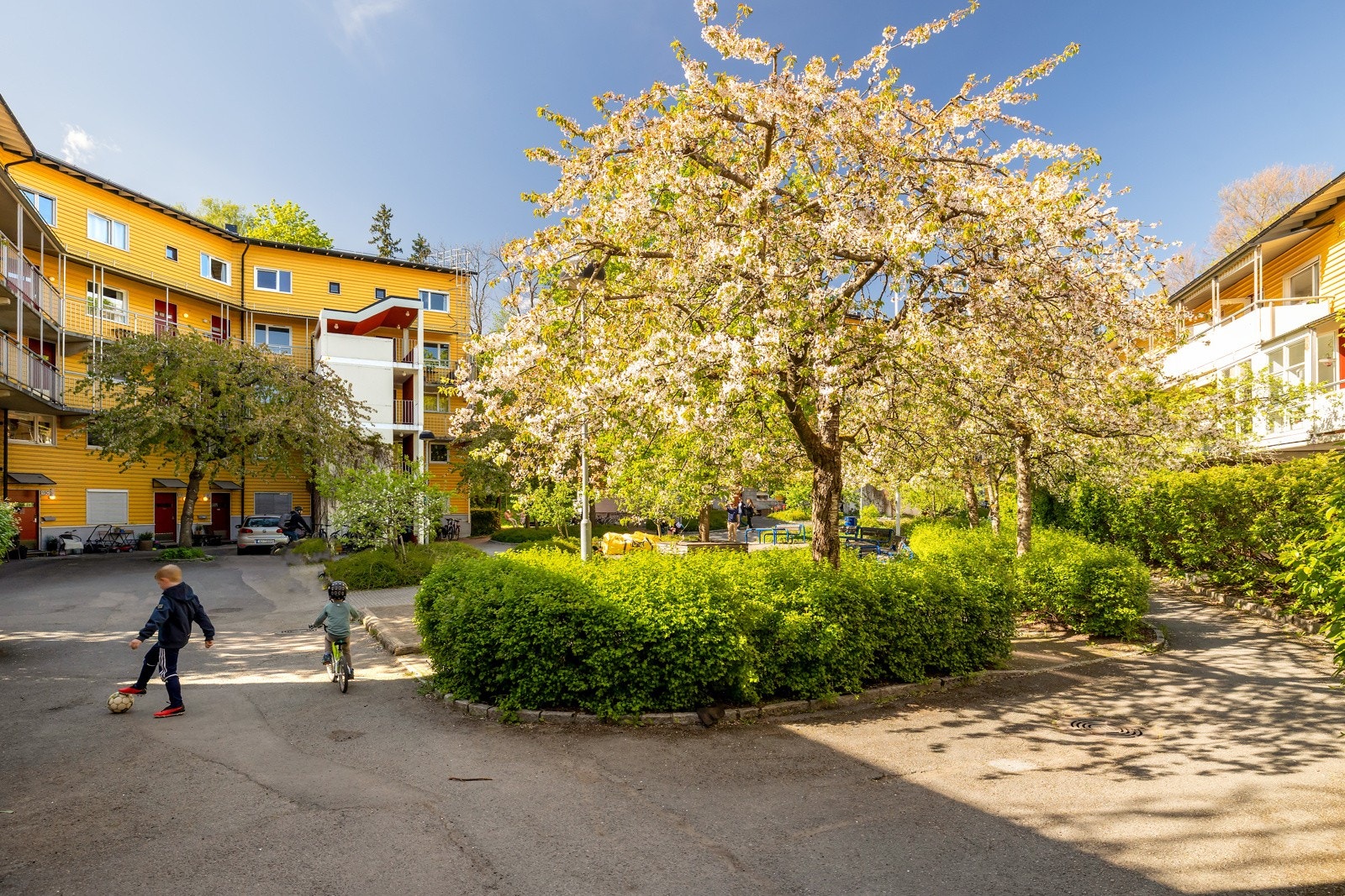 Casinetto borettslag består av 296 andeler Galleribilde