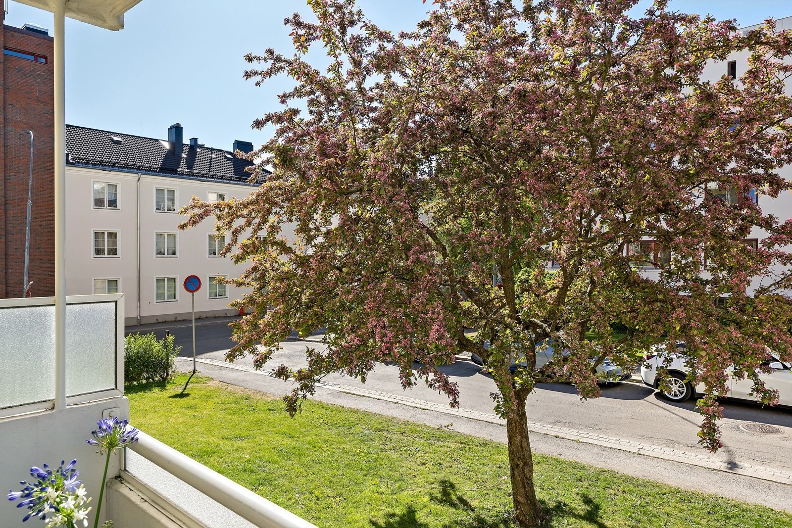 Hyggelig utsyn mot frodige trær og rolig gate. Galleribilde