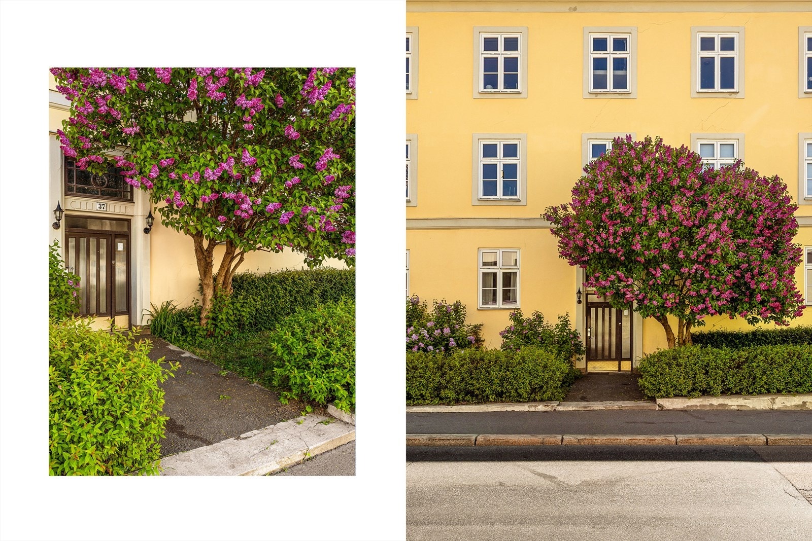 Sjarm og særpreg fra første sekund, velkommen inn til ditt nye hjem! Galleribilde