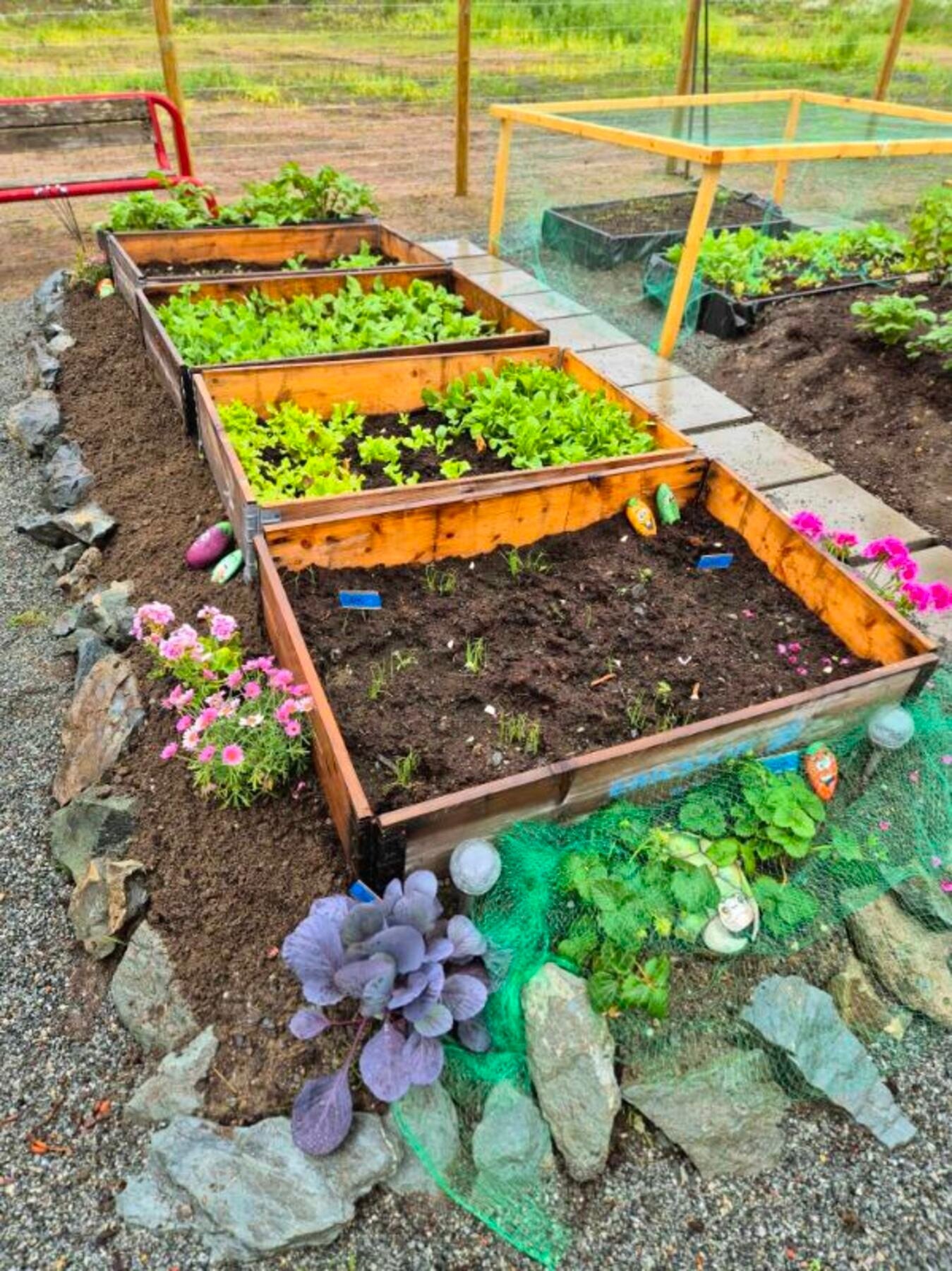 Bilde tatt av selger. Galleribilde