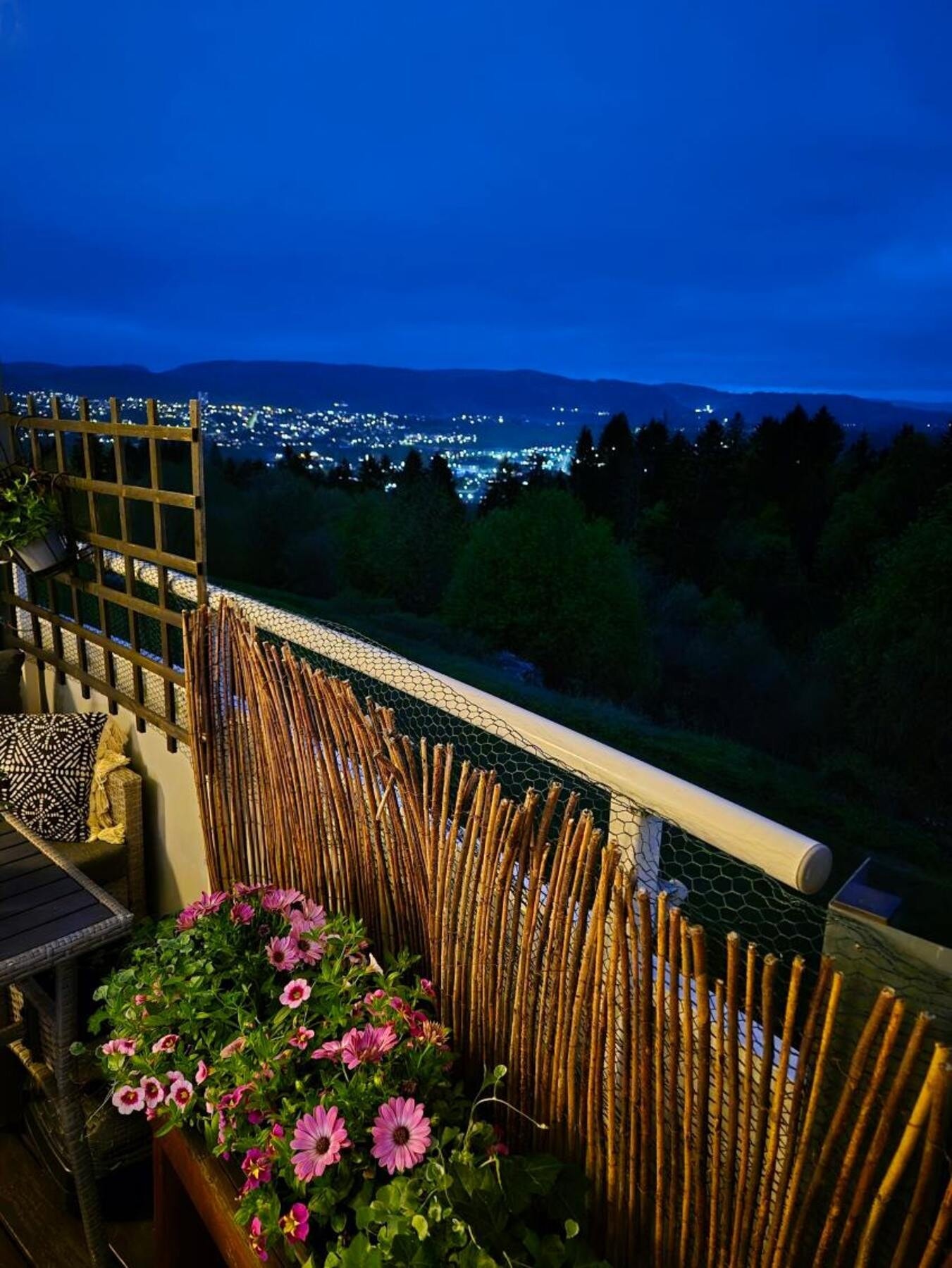 Bilde tatt av selger. Galleribilde