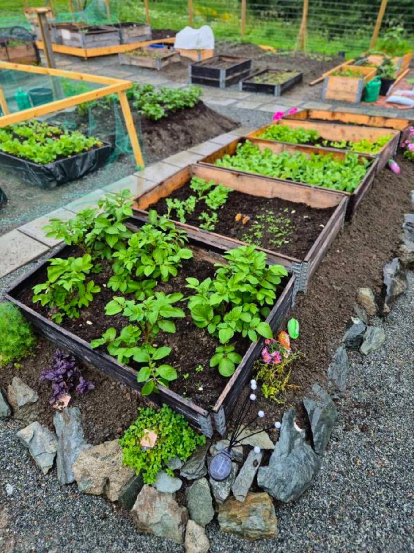 Bilde tatt av selger. Galleribilde