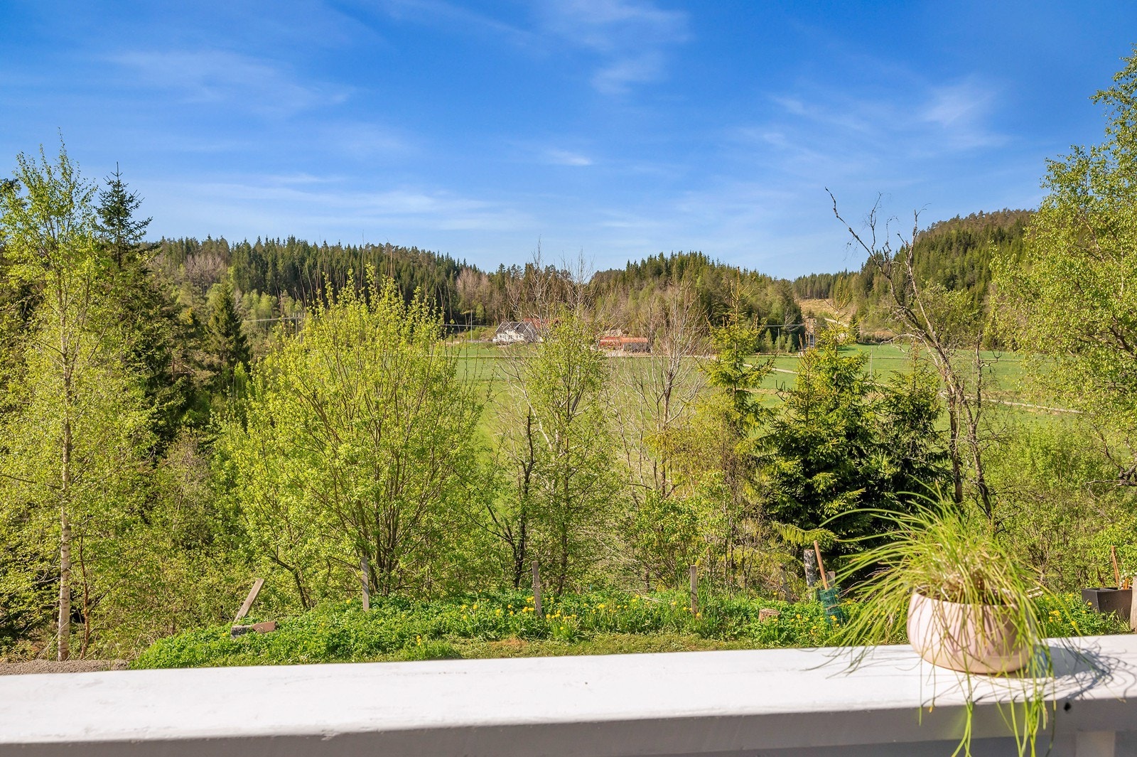 Herlig utsyn og svært lite innsyn fra "naboer". Solrikt. Galleribilde