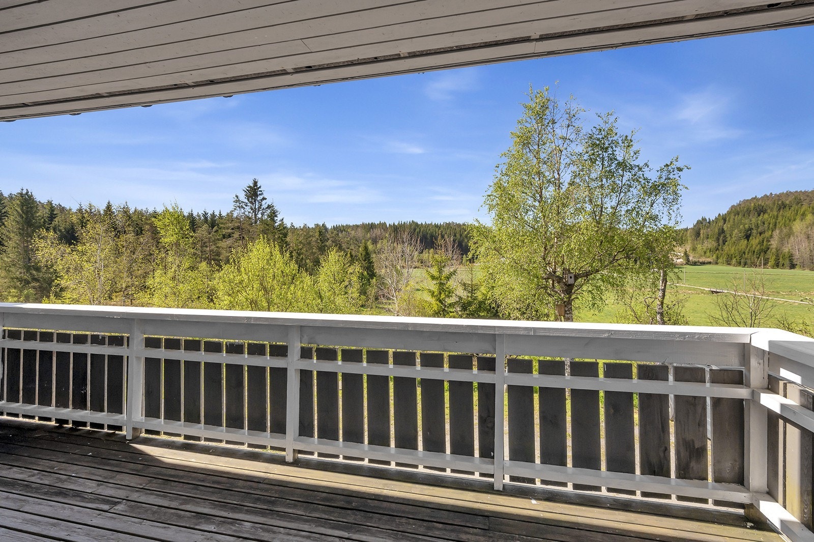 Usjenert og flott utsikt. Galleribilde