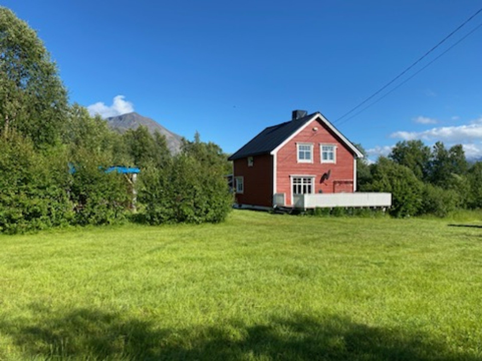 Sommer 2024 Galleribilde