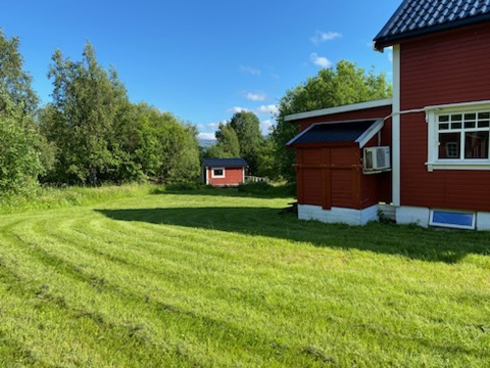 Sommer 2024 Galleribilde