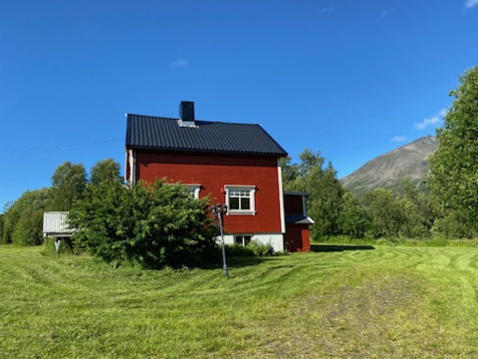 Sommer 2024 Galleribilde