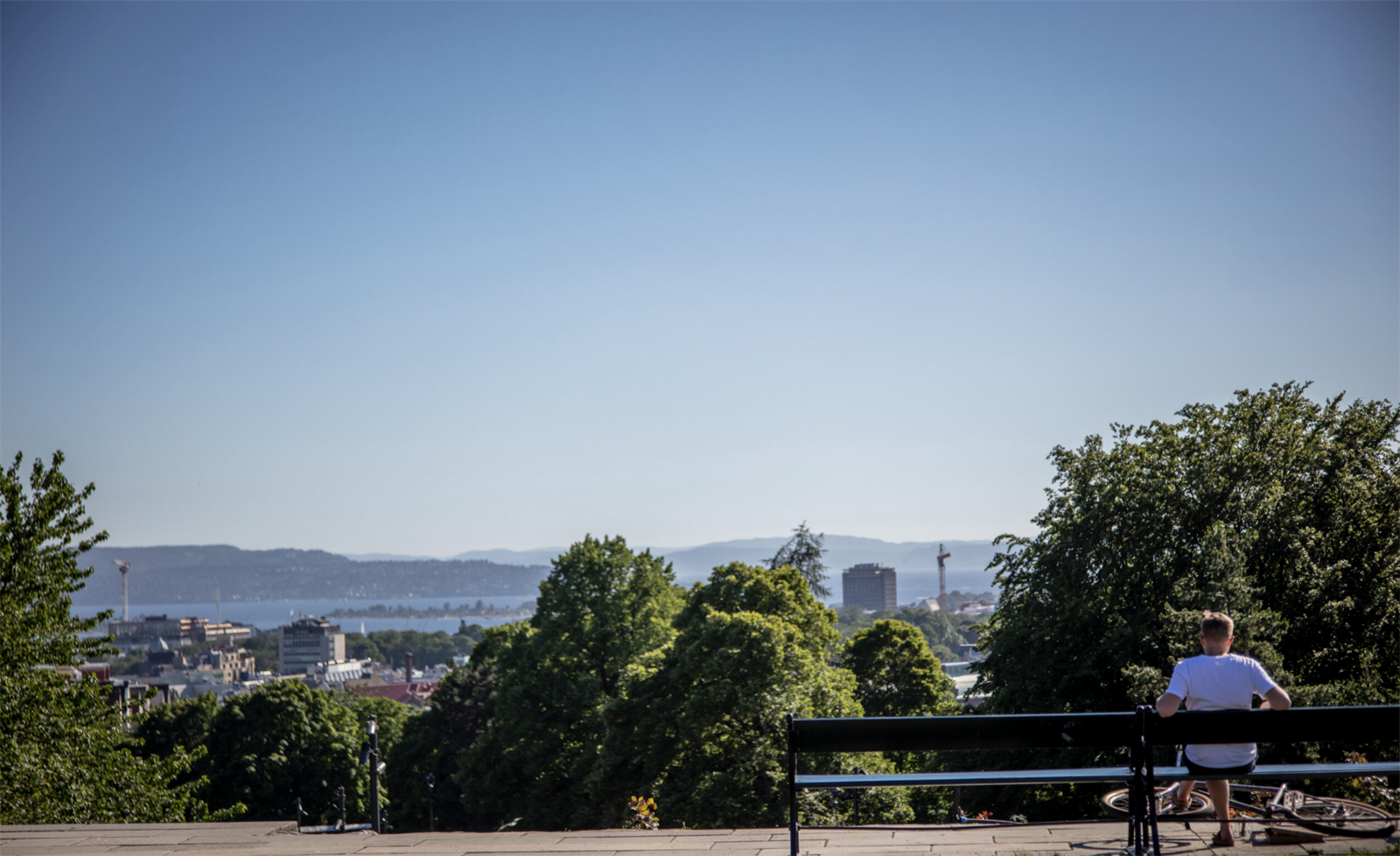 Omårdebilde. Galleribilde