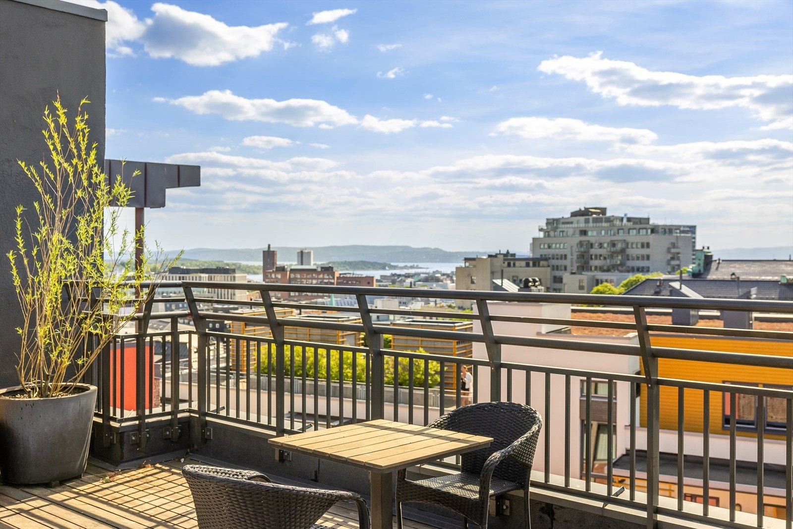 Felles takterrasse med fantastisk utsikt over Oslo! Galleribilde