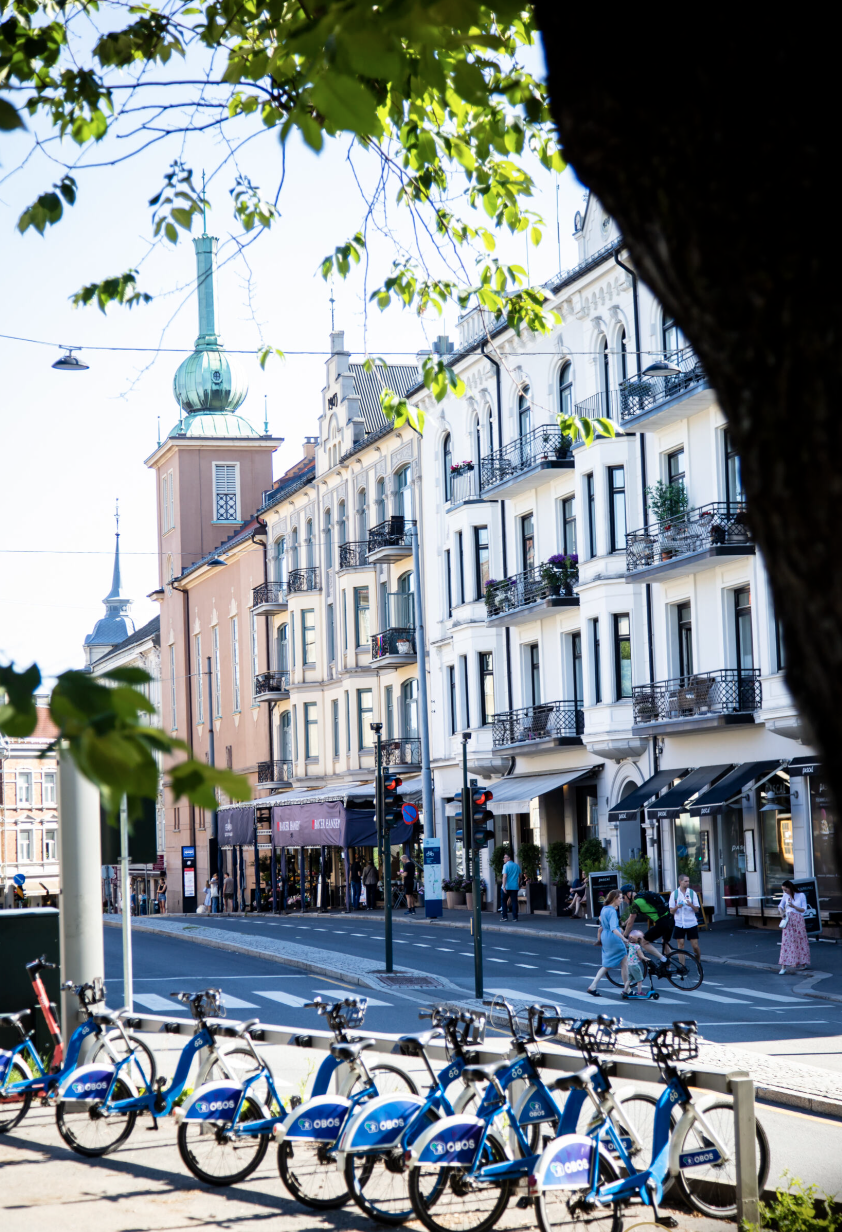 Områdebilde. Galleribilde