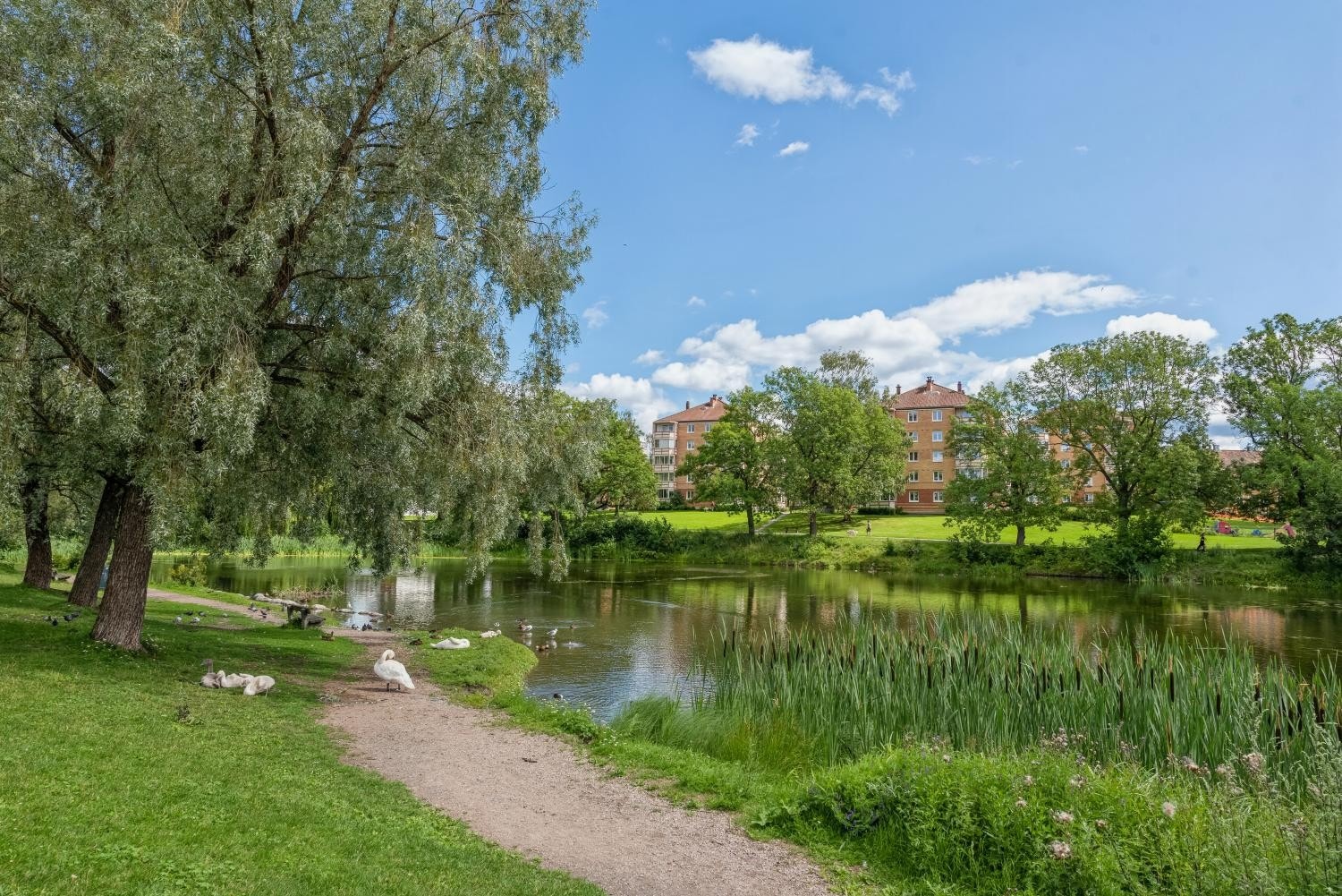 Flotte tur og rekreasjonsmuligheter i nærområdet Galleribilde