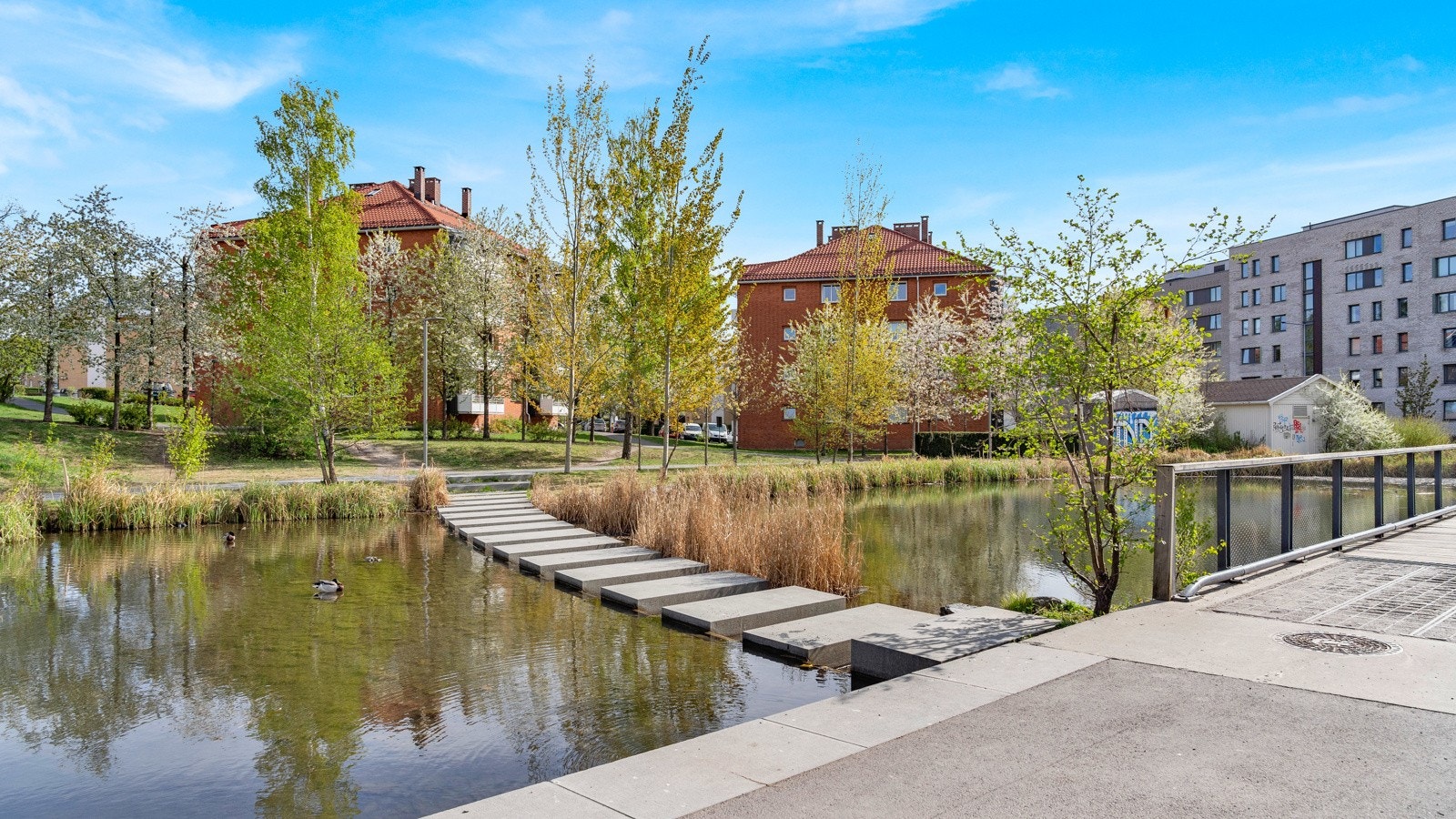 Flotte turområder i nærheten og gangavstand til Jordal, Kampenparken, Tøyenparken med nye Tøyenbadet under oppføring og Botanisk hage. Galleribilde
