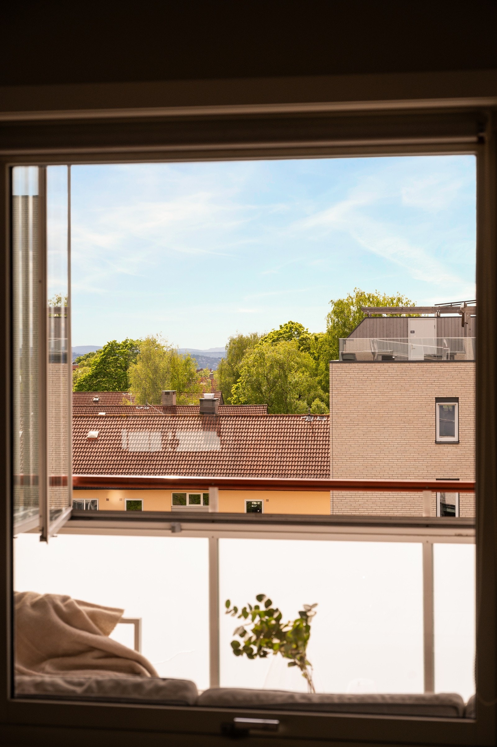 Flott utsikt. Galleribilde