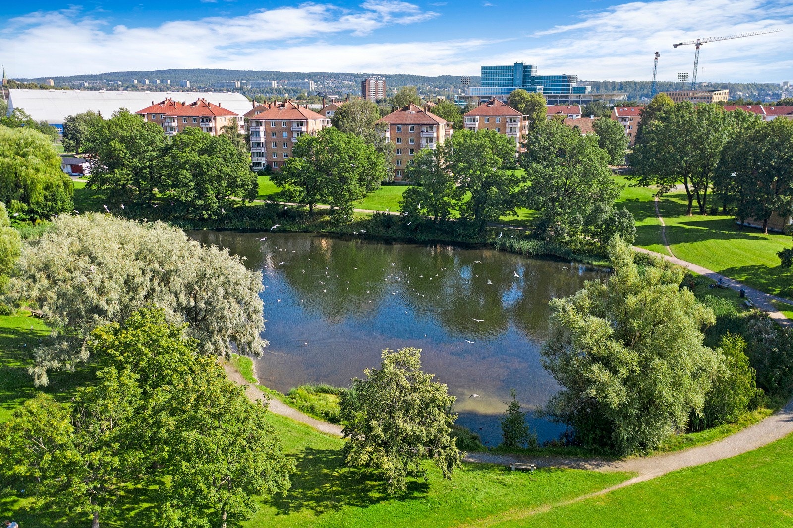 Store flotte grøntområder og rekreasjonsmuligheter med bl.a. Valle Hovin med andedammen. Galleribilde