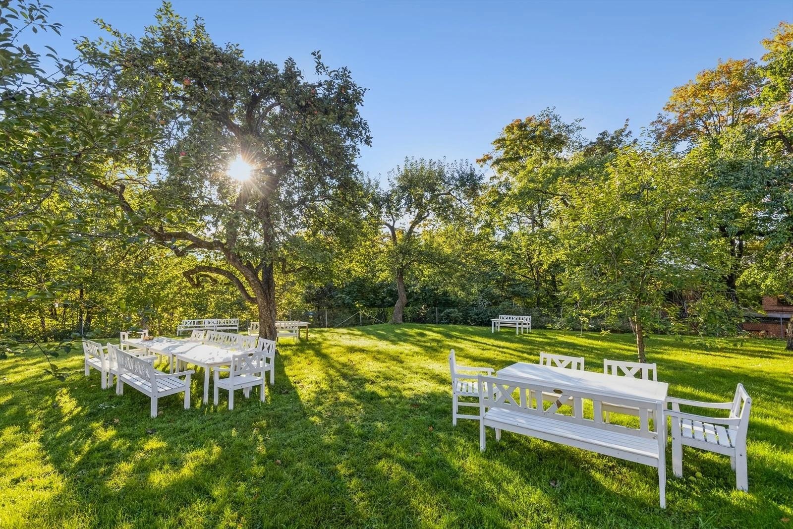 Hagen er perfekt for å samle venner og bekjente om sommeren! Galleribilde