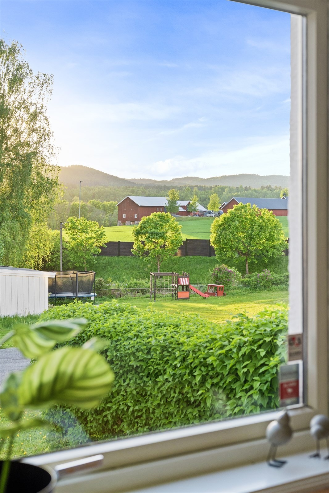 Hyggelig utsyn fra leiligheten. Galleribilde