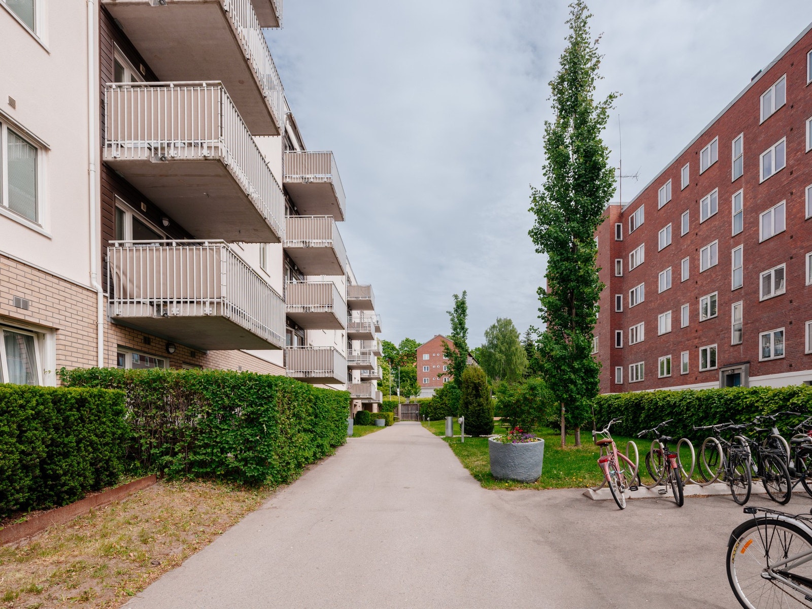 Sykkelparkering like utenfor. Galleribilde