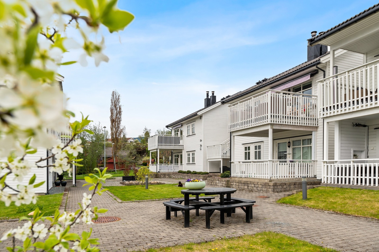 Sameie har et meget pent opparbeidet tun. Galleribilde