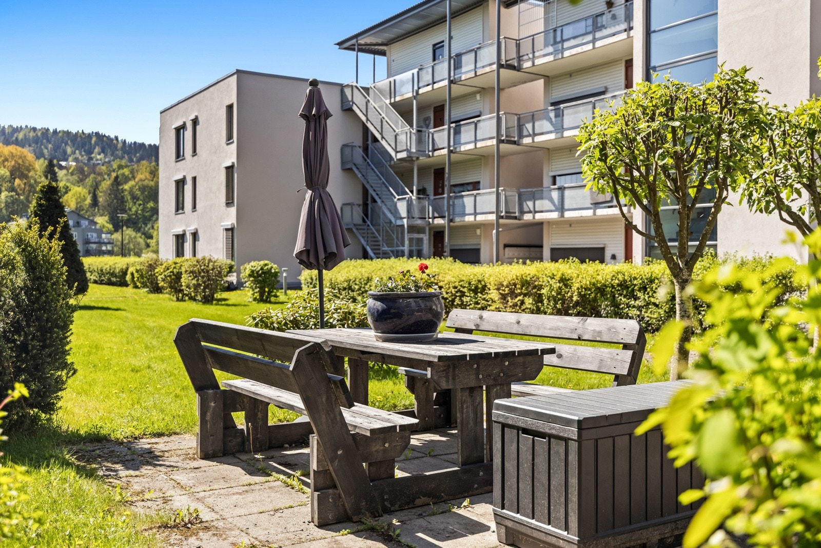 Et frodig, tilbaketrukket og rolig sted å tilbringe sommeren. Galleribilde