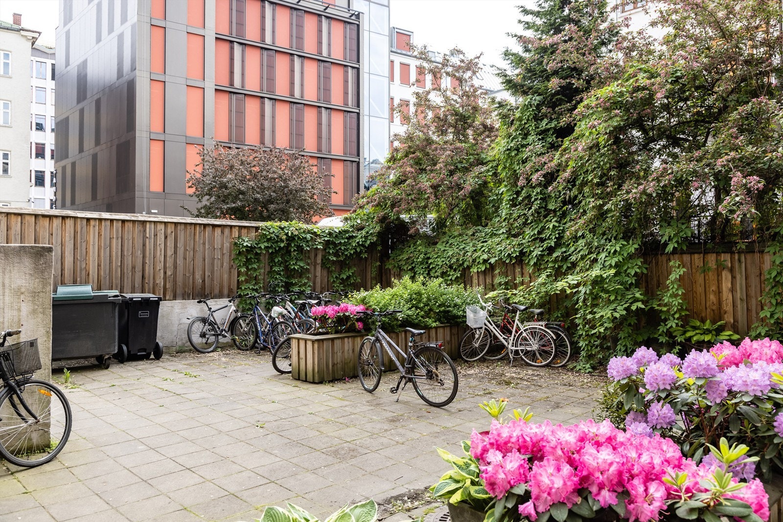 Koselig bakgård med sykkelparkering. Galleribilde