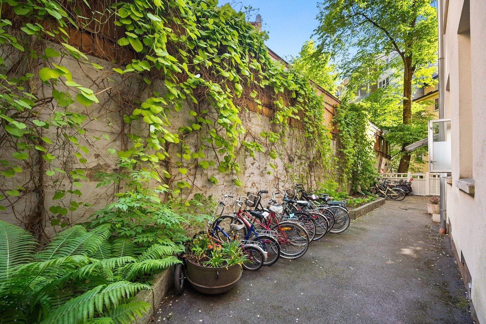Sykkelparkering bak lukket port. Galleribilde