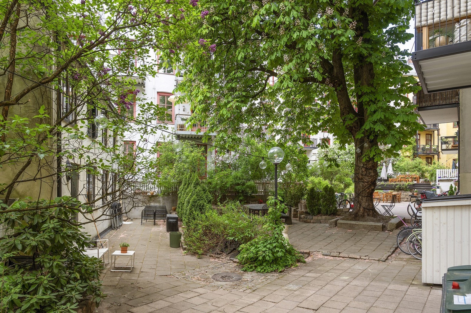 Sjarmerende og rolig bakgård for kvartalet. Galleribilde