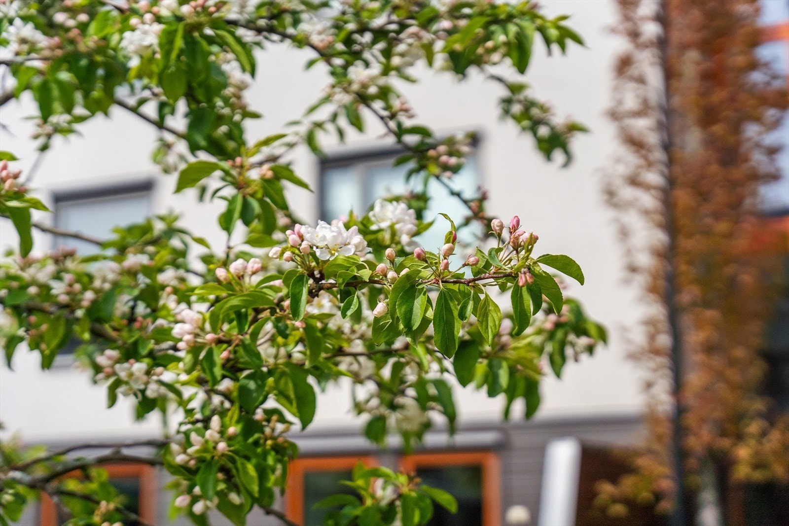 Her bor du omkranset med flotte grøntarealer. Galleribilde