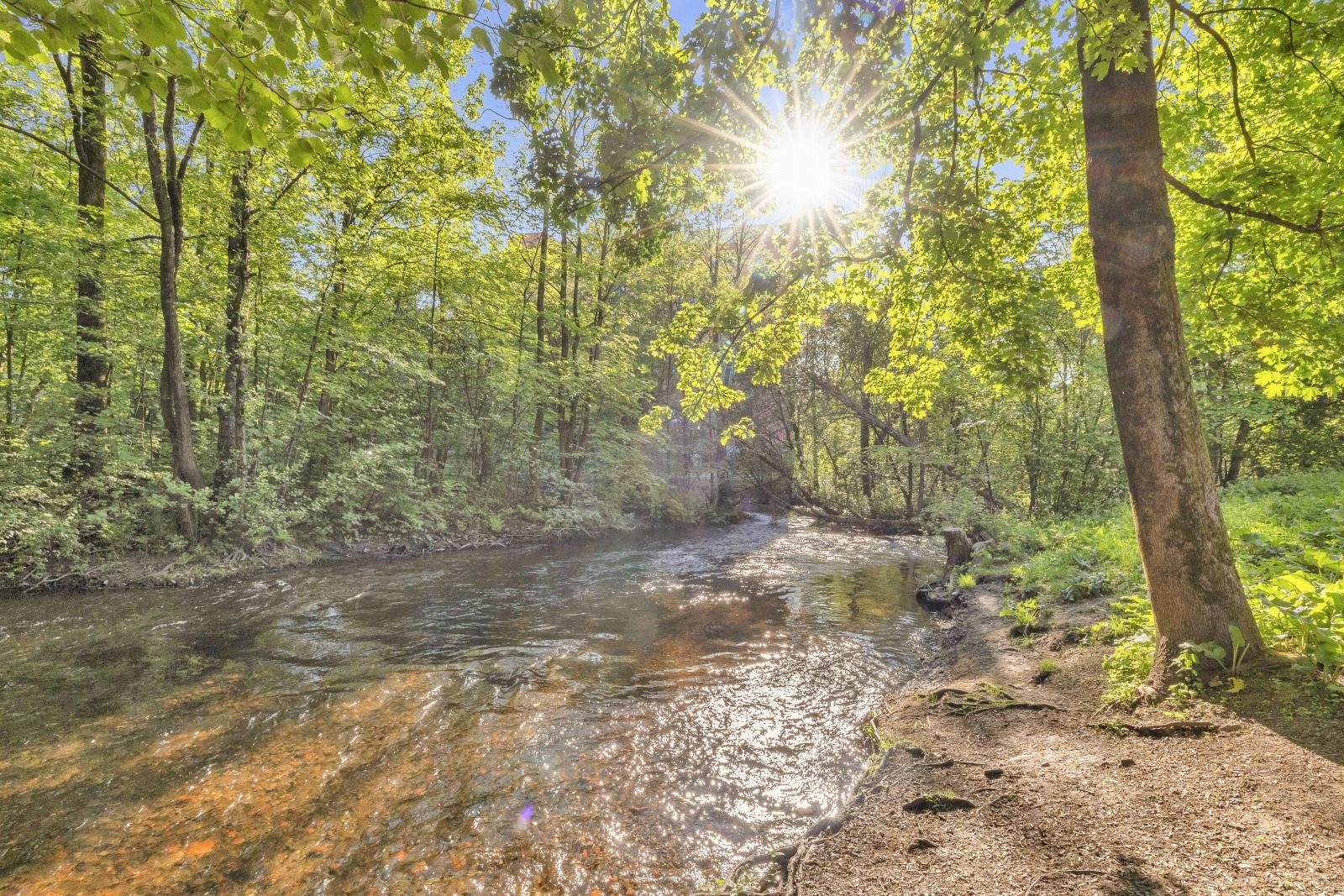 Akerselva som nærmeste nabo Galleribilde